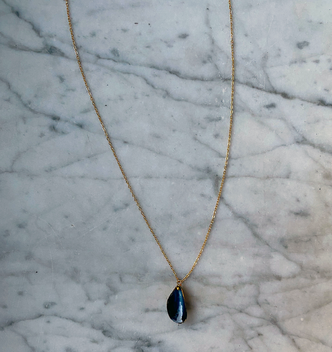 Blue Mussel Gold