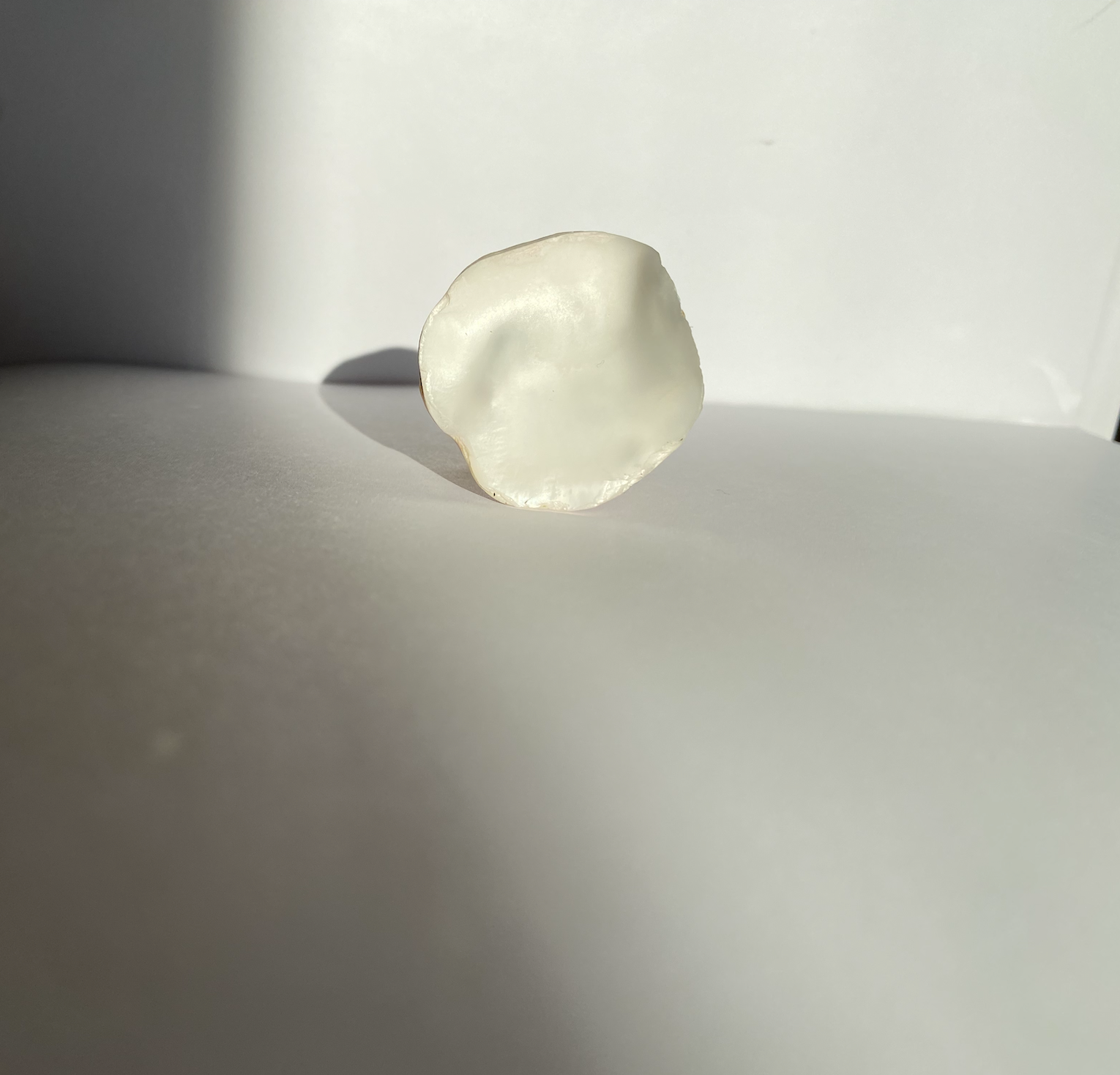 Oyster Ring Silver
