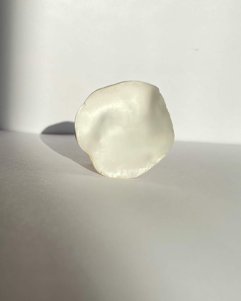 Oyster Ring Silver